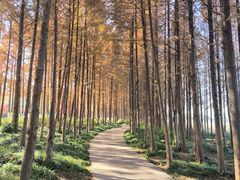 -云龙湖旅游景区