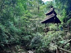 -青城山