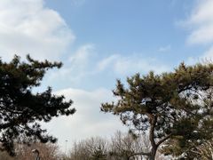 -丰台花园
