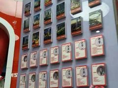 -贝+跆拳道(新天地道馆)