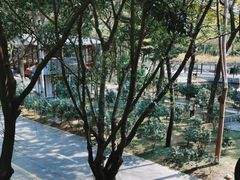 -深圳国际园林花卉博览园