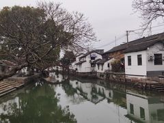-金泽古镇