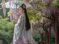 -嘉定紫藤园