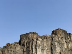 -海南热带野生动植物园