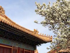 -故宫博物院(故宫)