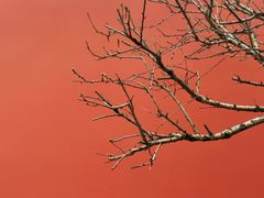 -乌山风景区