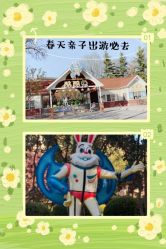 -酷酷兔少儿拓展天地