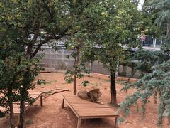 -昆明动物园