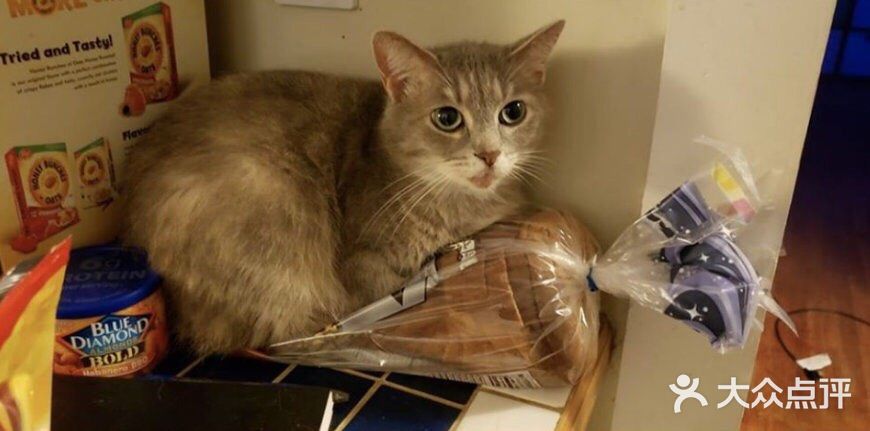 材料也不错。目前听说要过年休息要到初六才营业