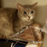 材料也不错。目前听说要过年休息要到初六才营业