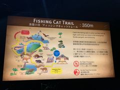 -夜间野生动物园