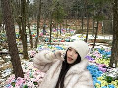 -洛阳白云山景区