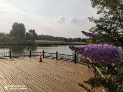 -东郊湿地公园