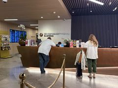 -谢列梅捷沃国际机场