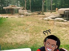 -上海野生动物园老虎餐厅