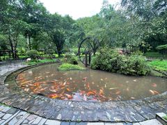 -莫里热带雨林景区