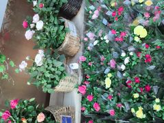 -龙大花卉苗木市场