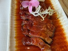 -新雅粤菜馆(南京东路店)