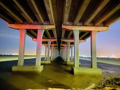 -宝安西湾红树林湿地公园