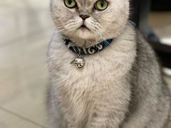 -Oasis绿洲银饰珍珠手作diy(壹方城店)