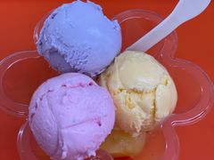 -成裕雪糕店(士多店)