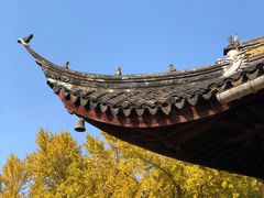 -西园戒幢律寺