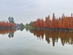 -白鹭湾湿地公园