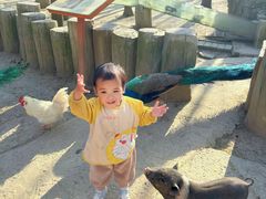 -昆山城市生态森林公园