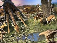 -国家自然博物馆