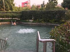 -杭州第一世界大酒店·云曼温泉