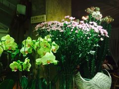 picture-春暖花开(西溪店)