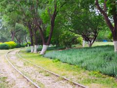 -永定河休闲森林公园