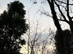 -瑞幸咖啡(AI创新中心A区店)