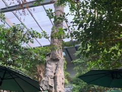 -云境生态园(红谷滩店)