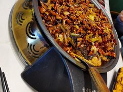 -锦尚阁烤鱼(望京新荟城店)