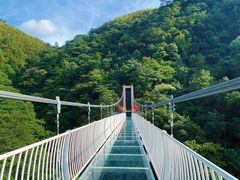 -藏龙百瀑风景区