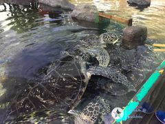 -鸿通城购物中心