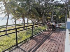 -深圳湾公园(南山区)
