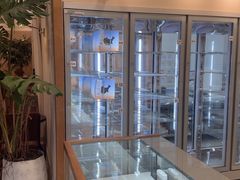 -山与蓝·轻糖鲜果蛋糕(勒泰店)