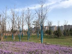 -汉长安城未央宫国家考古遗址公园