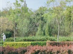 -府君山公园