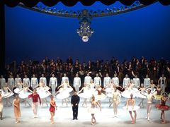 -北京大学百年讲堂