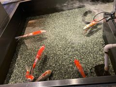 -0776食堂·京城创意菜(七里庄店)