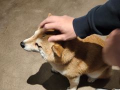 -三目仓咖啡(贤南路店)