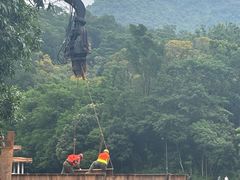 -深圳仙湖植物园