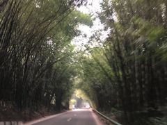 -漫山居私汤民宿全竹宴