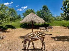 -北京野生动物园