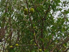 -中关村生命科学园