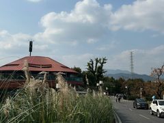 -如意山房柿子树下餐厅