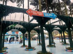 -海合安成都极地海洋公园